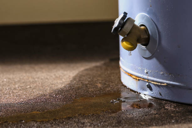 Best Commercial water damage restoration  in Hawthorne, NV