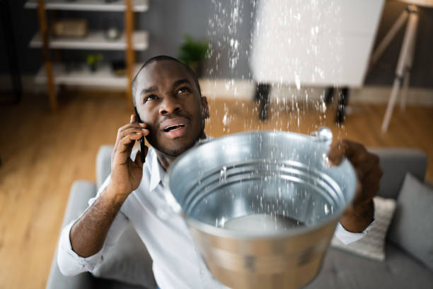 Best Water damage cleanup near me  in Hawthorne, NV