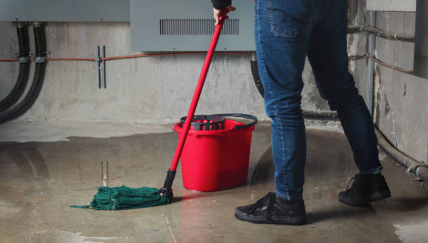 Best Water damage restoration mold remediation  in Hawthorne, NV