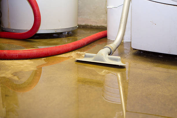 Best Water damage restoration services  in Hawthorne, NV