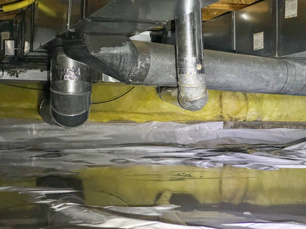 Best Fire Damage Restoration  in Hawthorne, NV