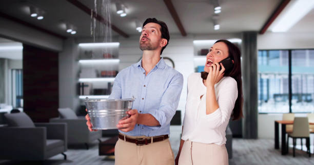 Best Basement water damage restoration  in Hawthorne, NV