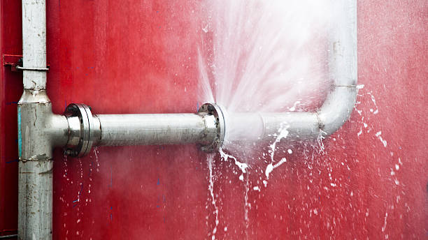  Hawthorne, NV Water damage restoration Pros